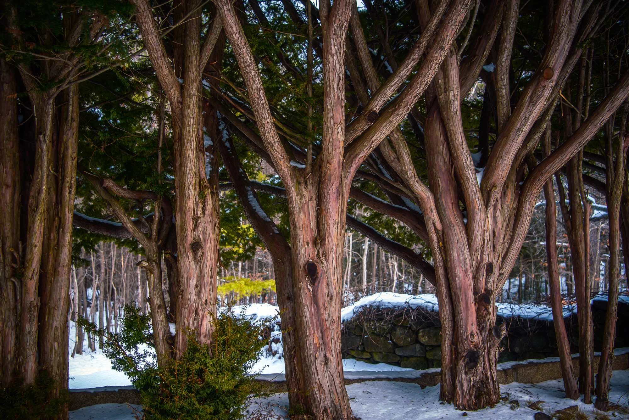 Nikon D610 Nikkor 28-300mm f/3.5-5.6 1/30 sec f/5.6 55mm ISO 200