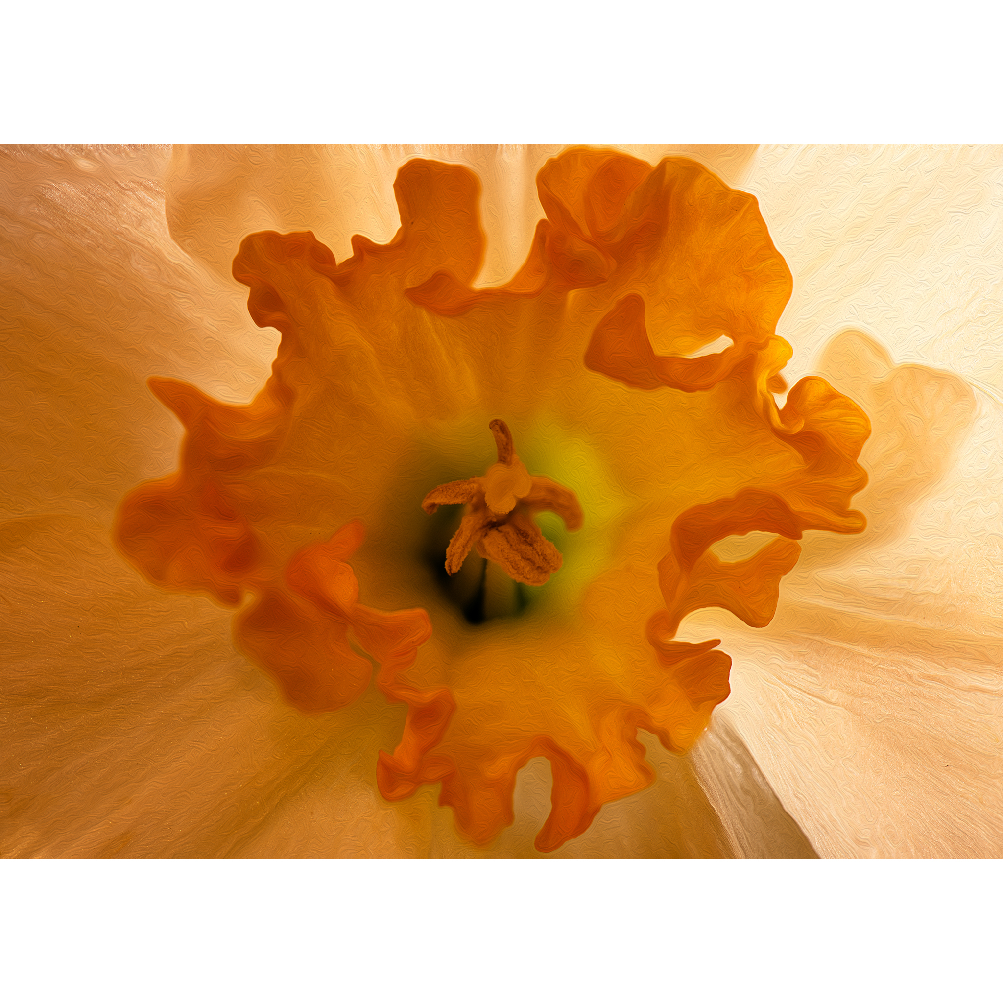 Nikon D850 Nikkor 105mm f/2.8 Macro 2.0 sec f/11 105mm ISO 100