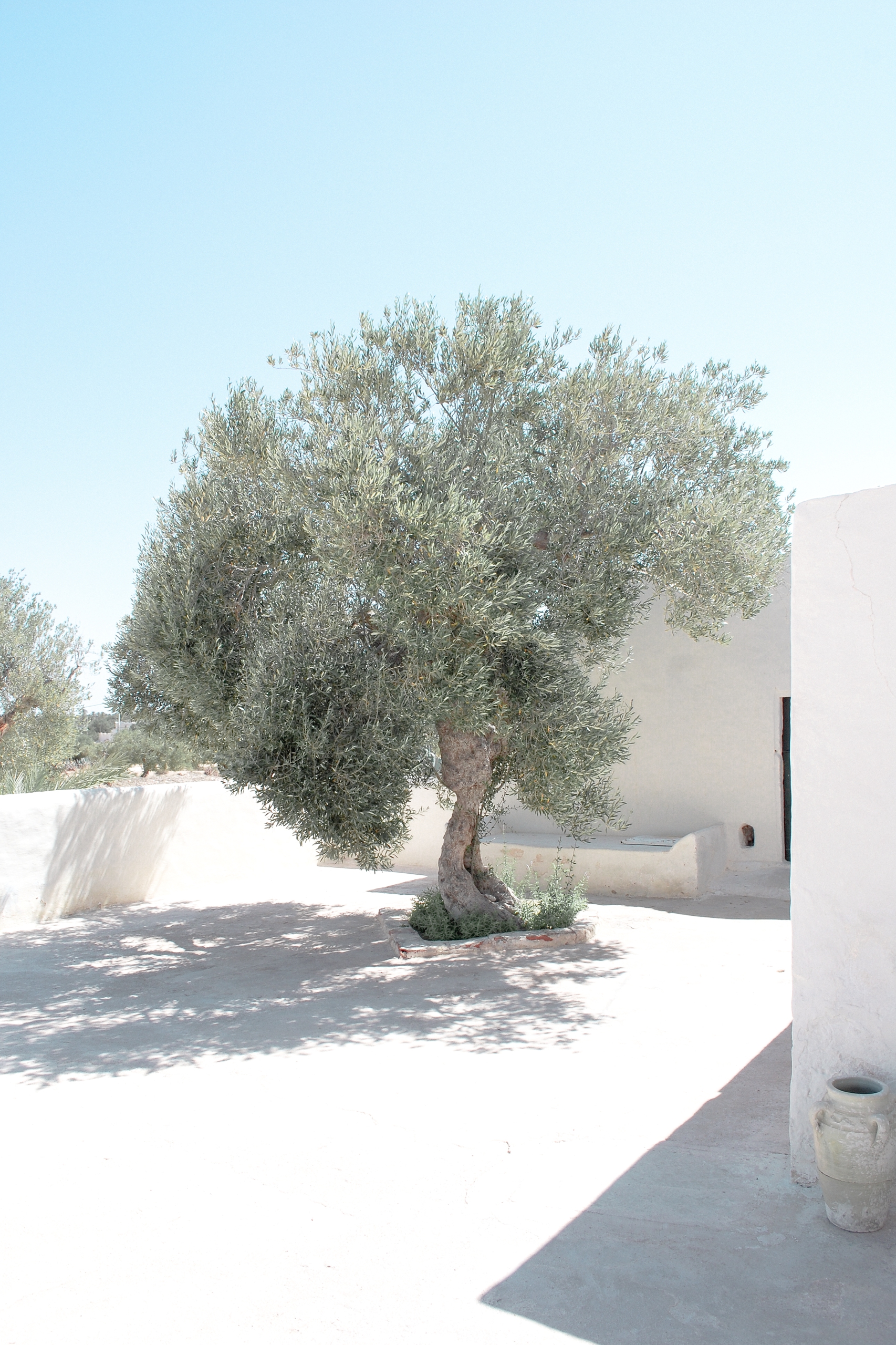Djerba-11.jpg