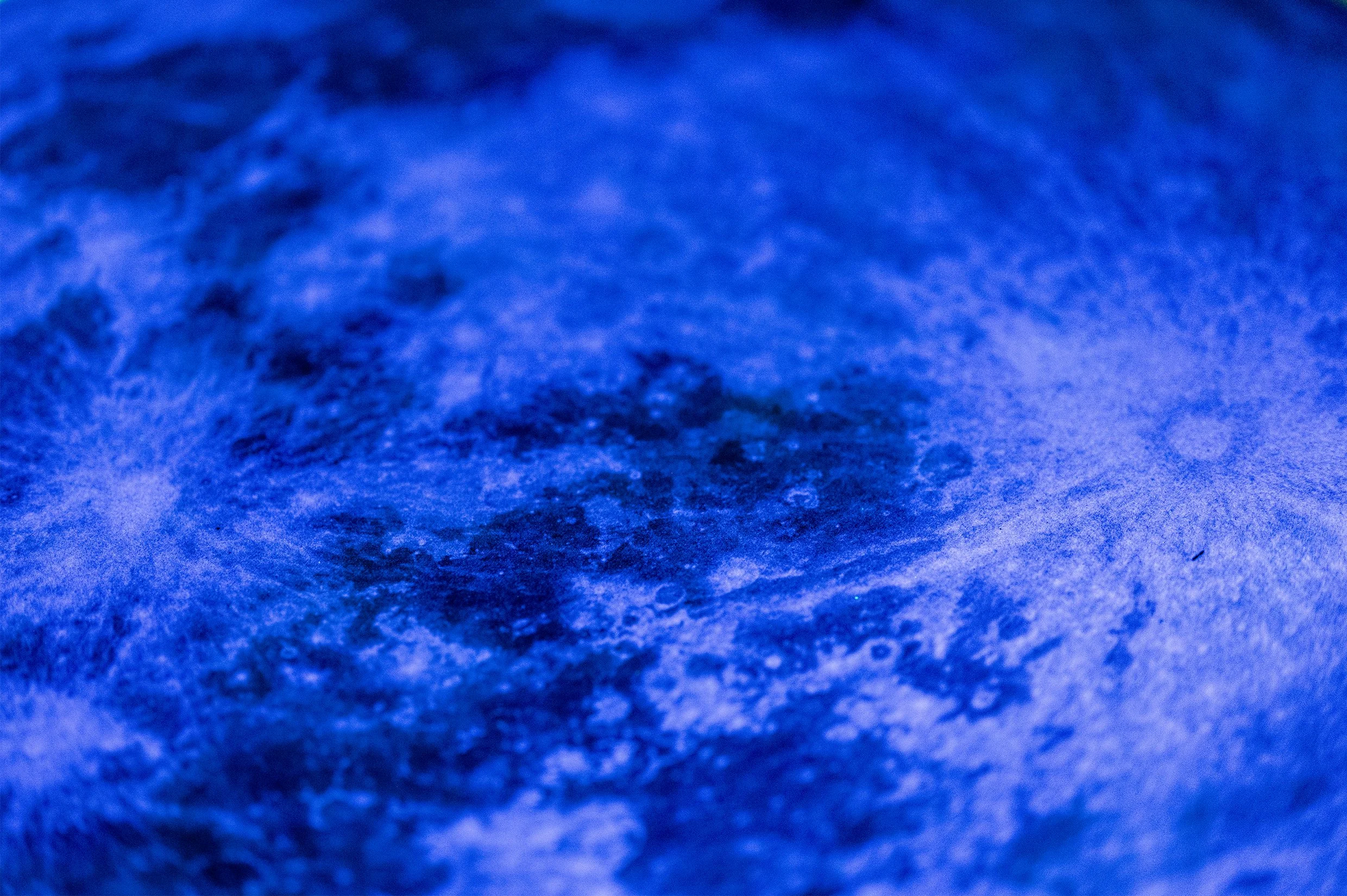 BOGI FABIAN BLUEMOON-bogifabian-luxuryart-collectorspiece-originalartwork-investmentart-fineart-highendart-interiordesignart-glowinthedark-uvart-exclusiveart 22.jpg
