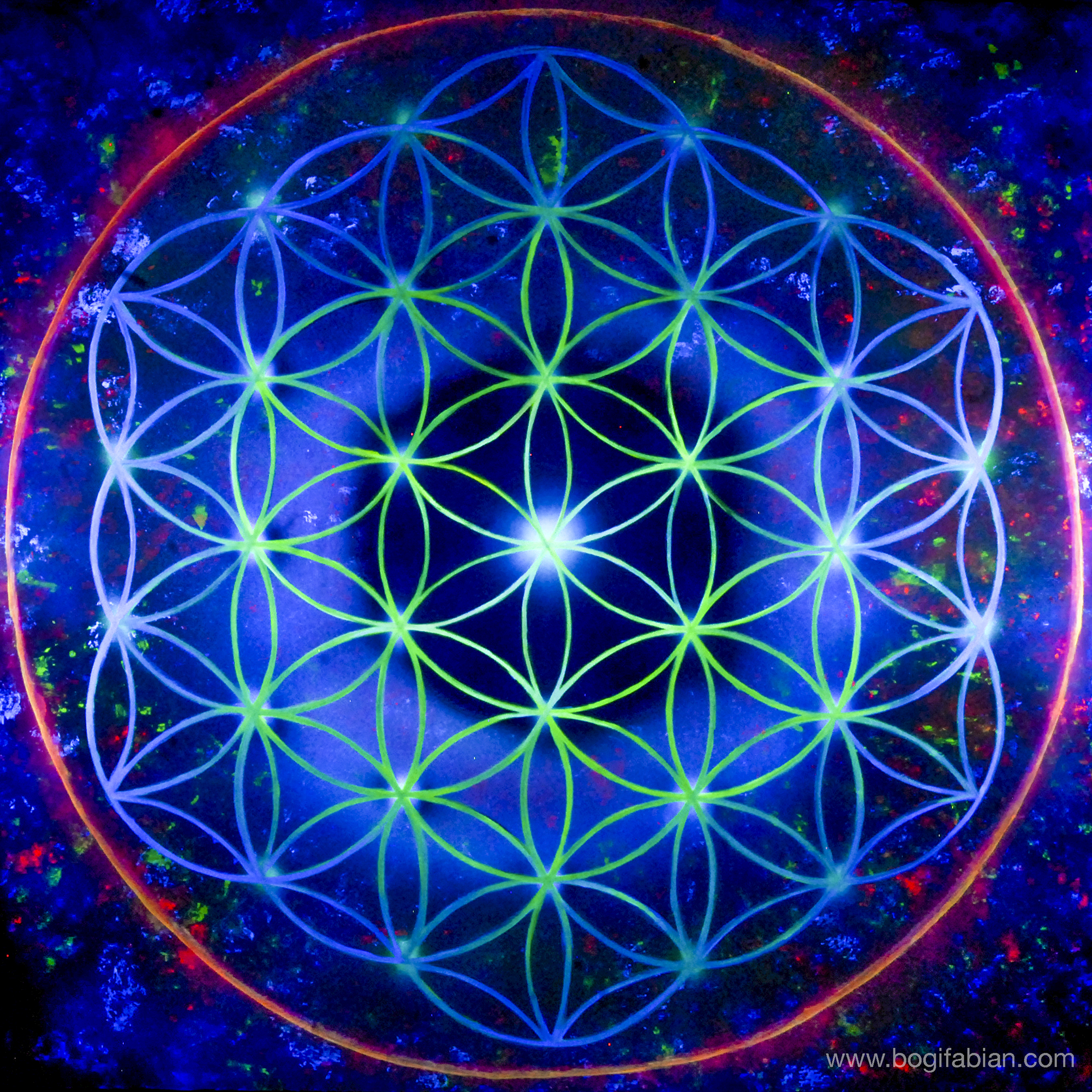 Bogi Fabian flower of life.jpg