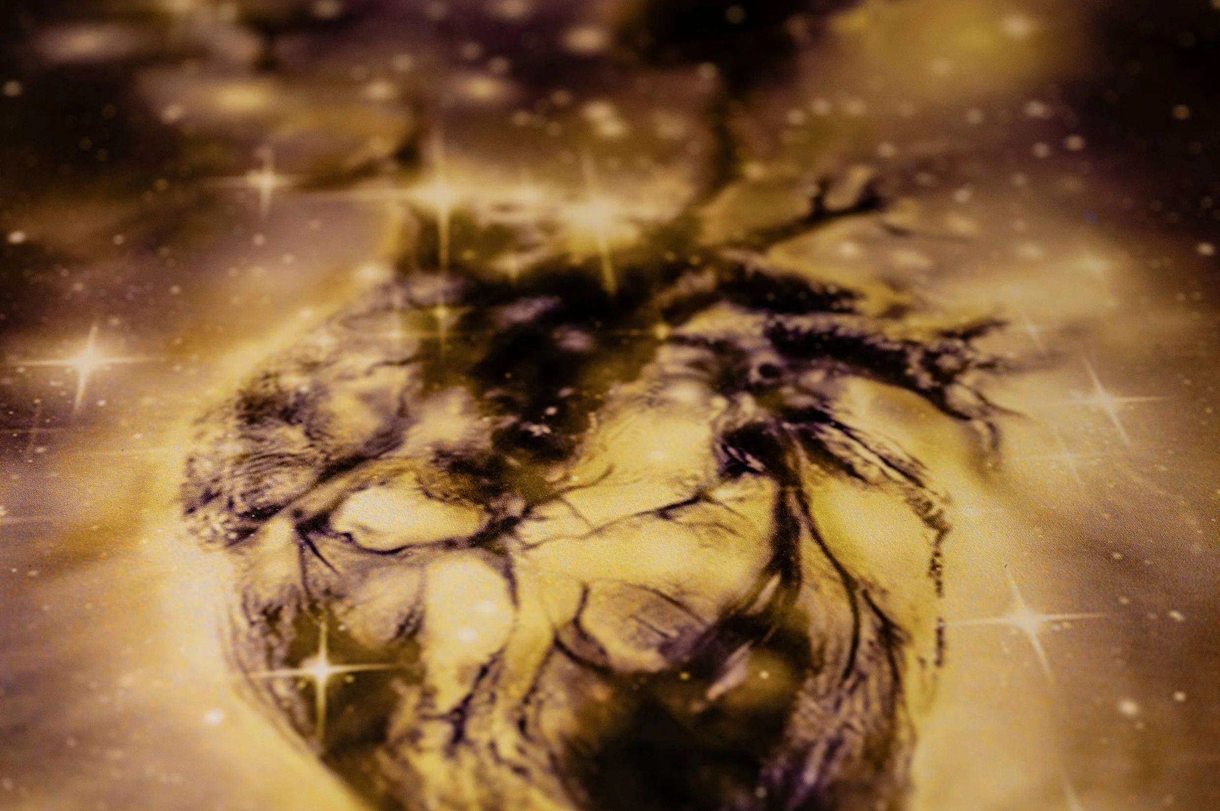 BOGI FABIAN treasure  -bogifabian-luxuryart-collectorspiece-originalartwork-investmentart-fineart-highendart-interiordesignart-glowinthedark-uvart-exclusiveart 2.jpg