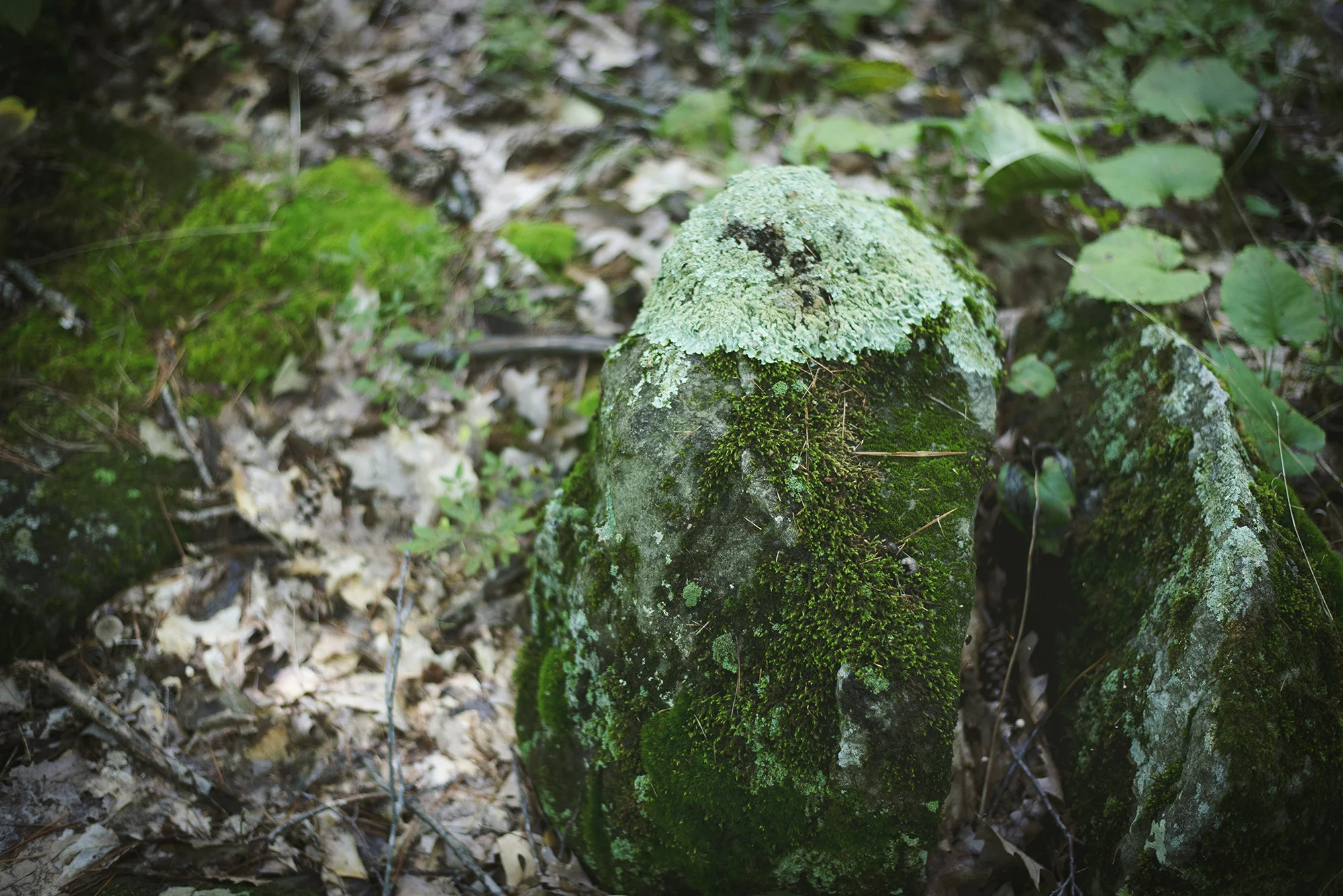 BEP_4100.jpg