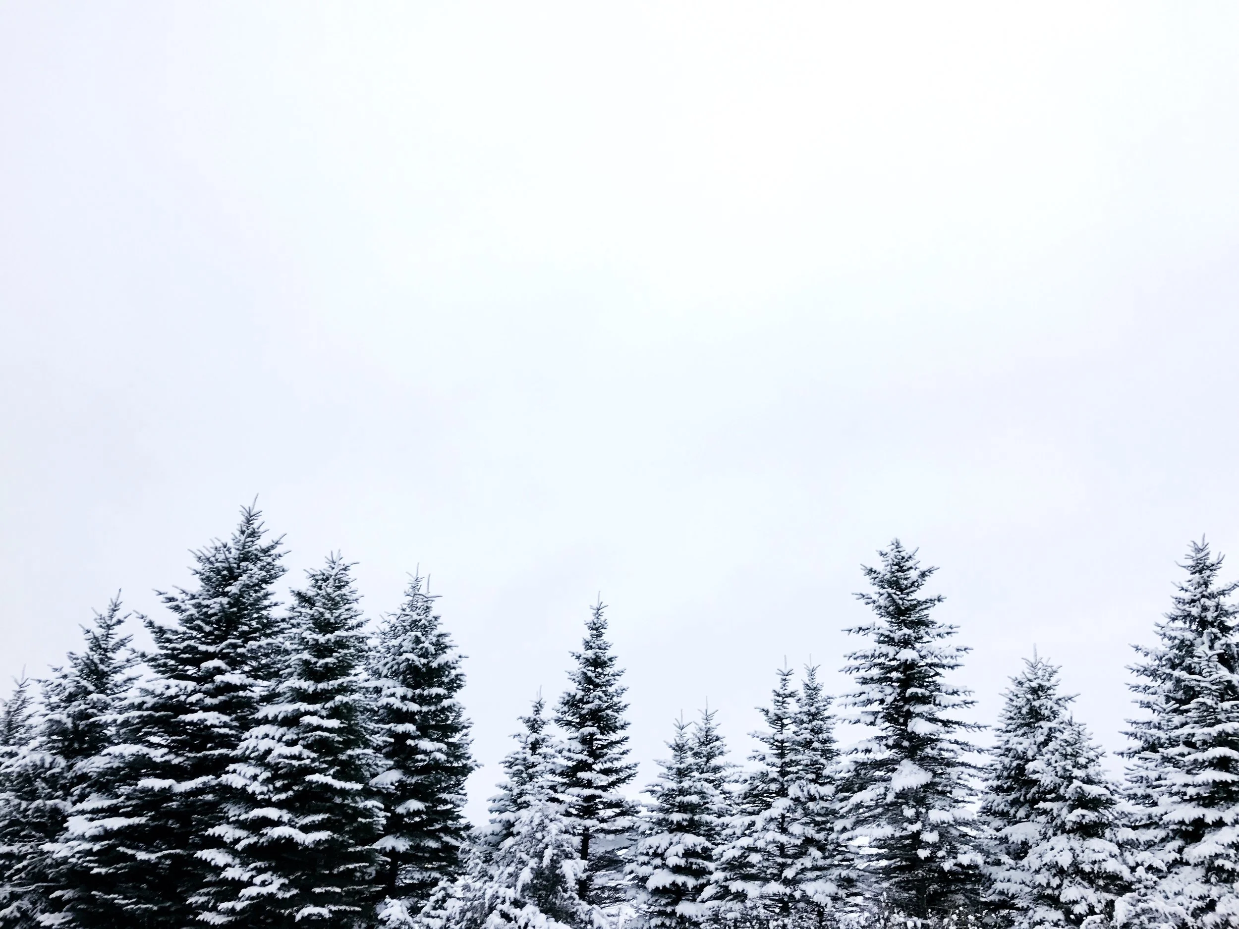 Merry Christmas from the Laegers: Our 2016 Digital Holiday Card