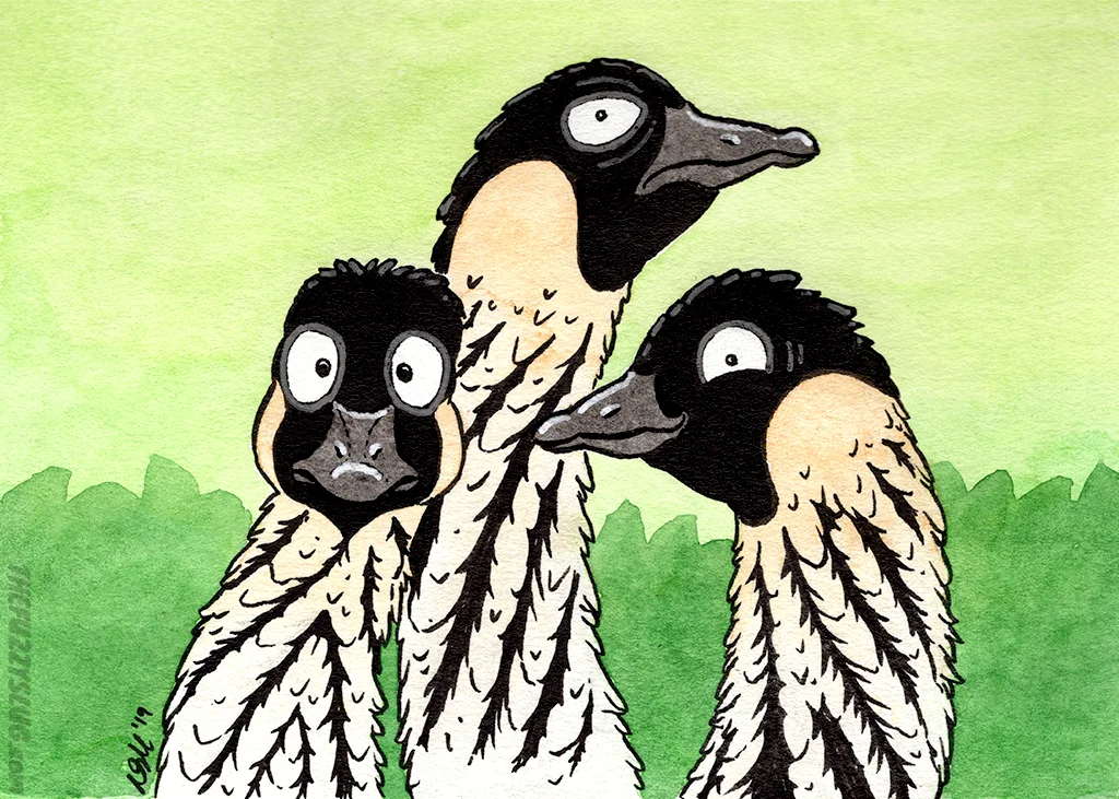 Nēnē Geese