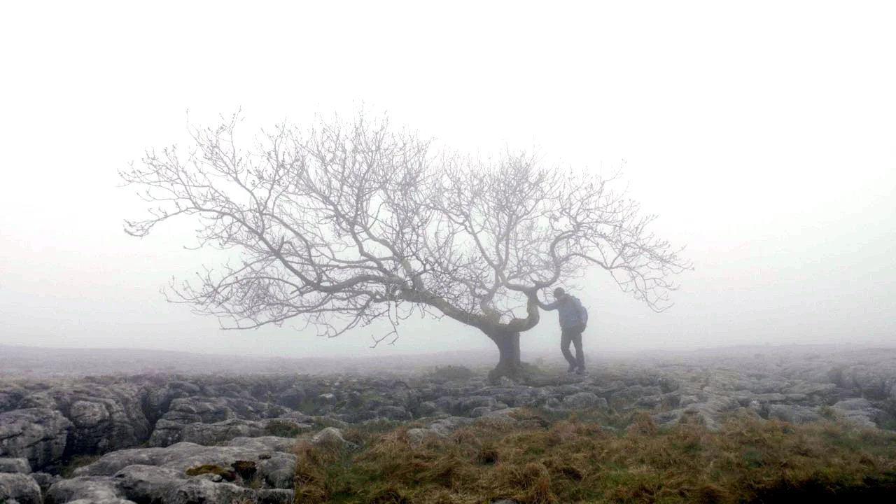 ALONE_2.jpg