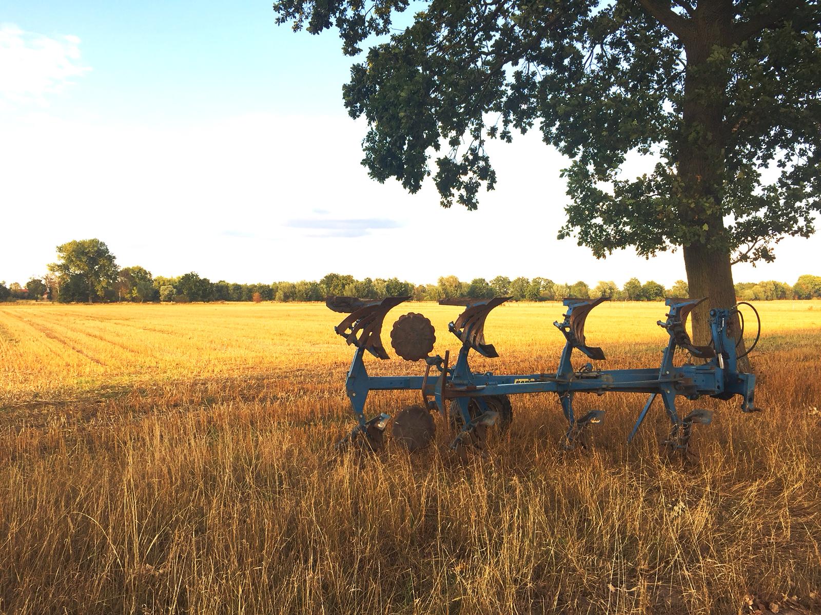 … durch Feld und Wald.
