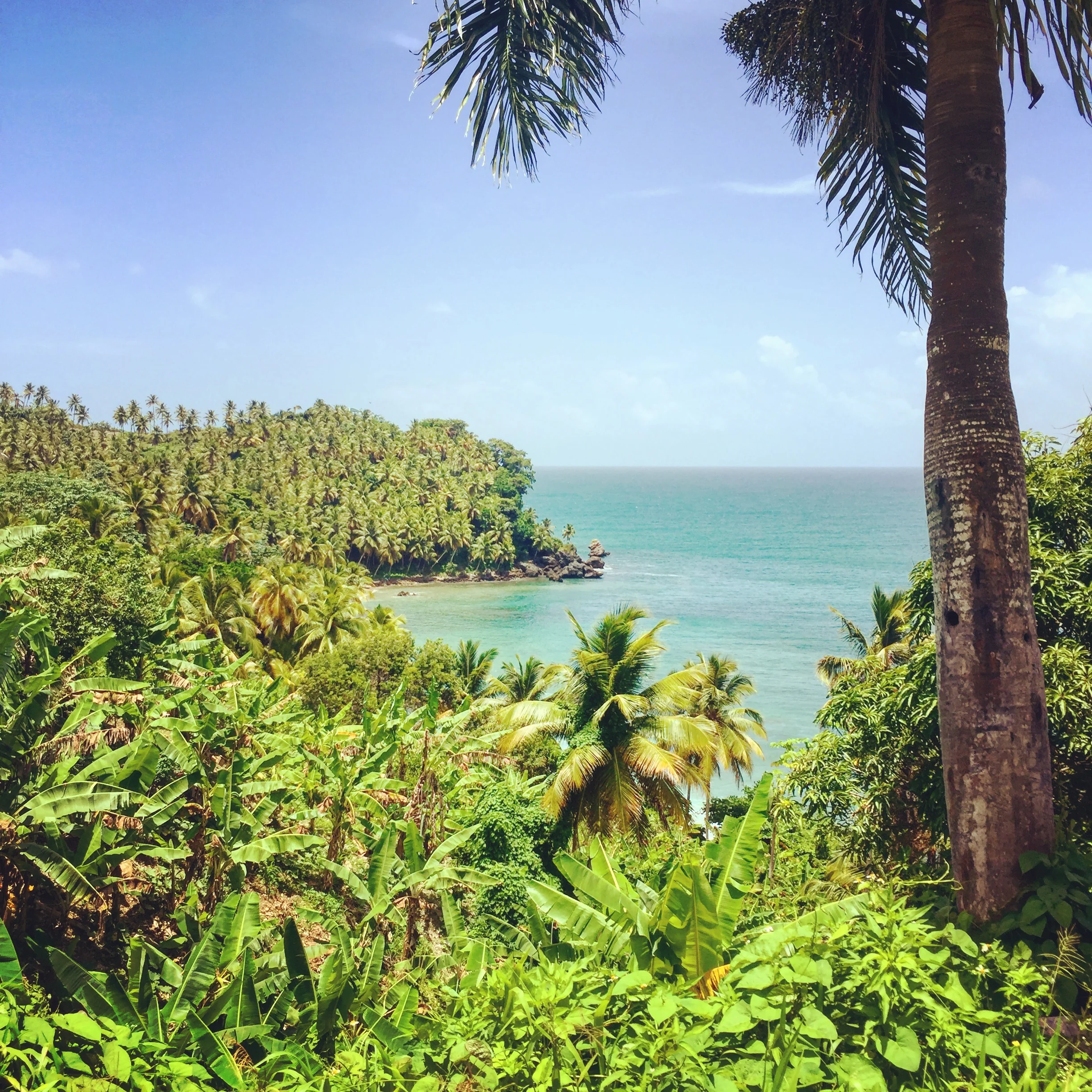 Restaurant Review: Hotel Atlantis, Las Terrenas