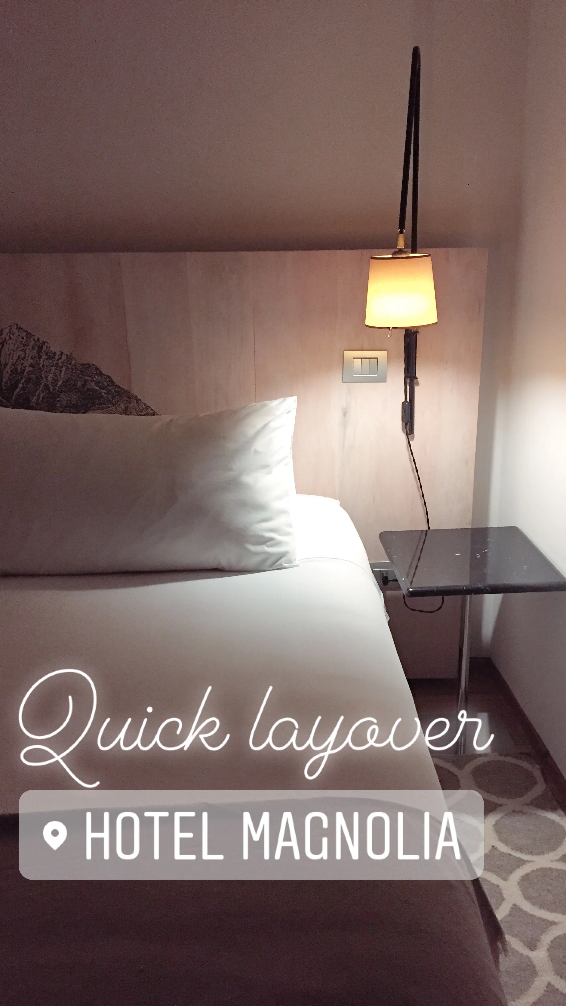 Hotel Magnolia - Santiago, Chile