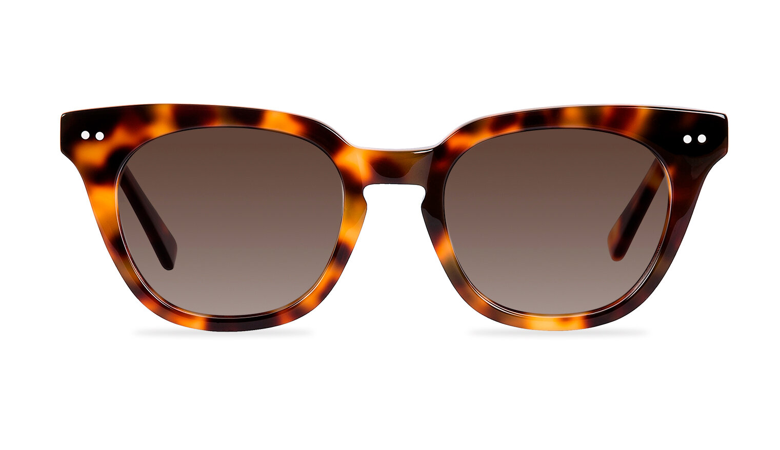 Johnson Sunglasses by Ben &amp; Frank