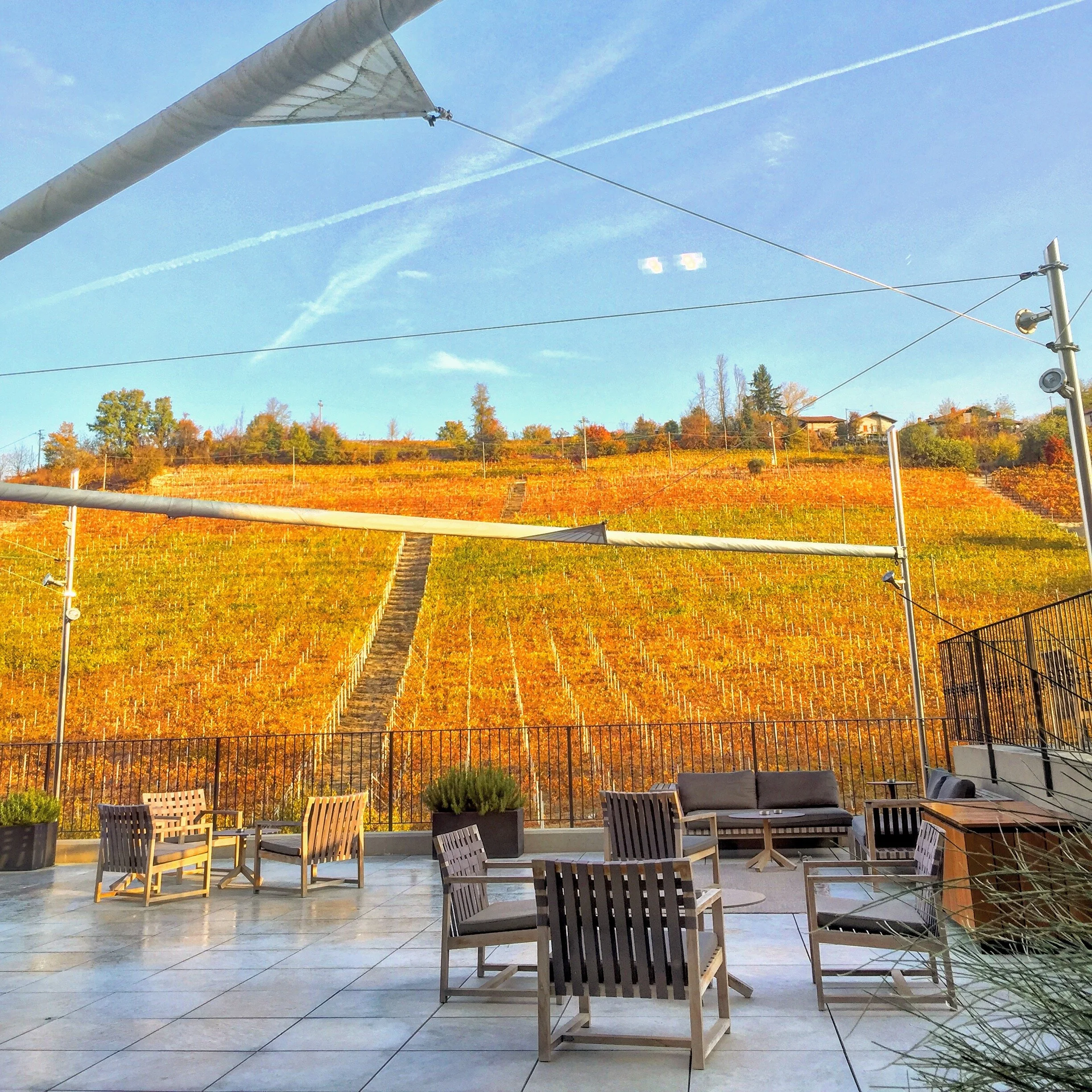 Natural Wine – Pleasure or Wild