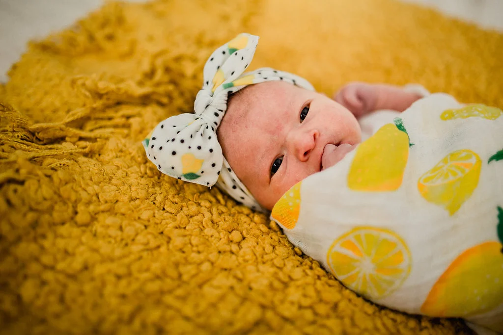 12.9.17_SchererFamily_111.jpg