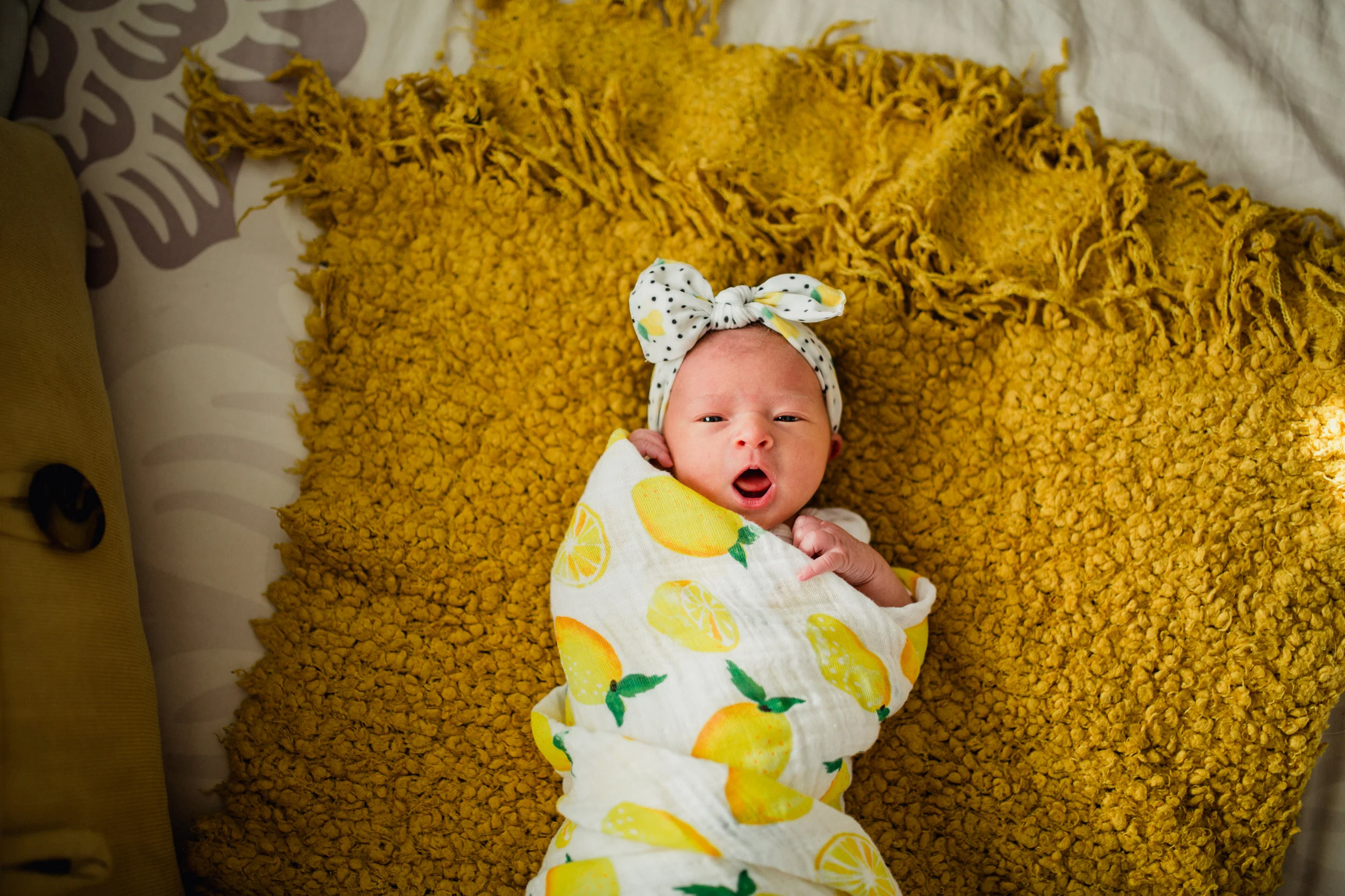 12.9.17_SchererFamily_110.jpg