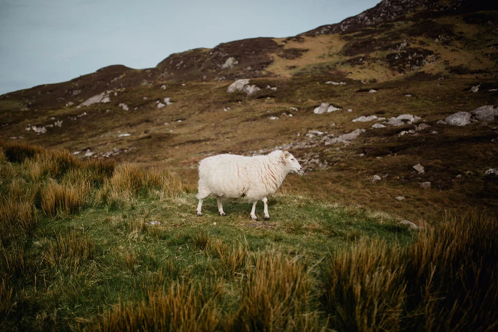 ireland desjardins studio rachel desjardins travel photography all rights reserved hostel dublin minnesota photographer inver glebe donegal county sleive league