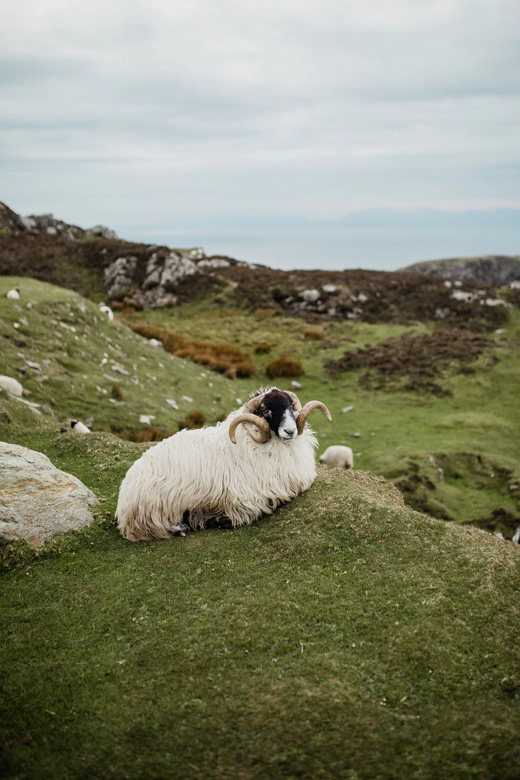 ireland desjardins studio rachel desjardins travel photography all rights reserved hostel dublin minnesota photographer inver glebe donegal county mcgaffertys pub life music tradition irish