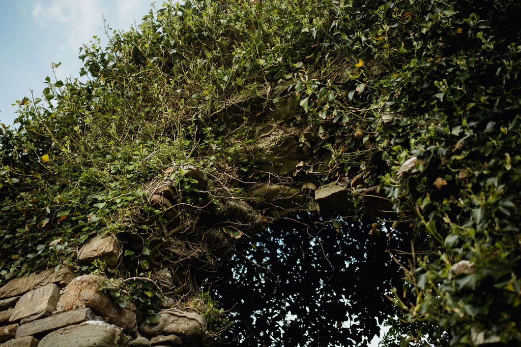 ireland desjardins studio rachel desjardins travel photography all rights reserved hostel dublin minnesota photographer inver glebe donegal county hidden garden