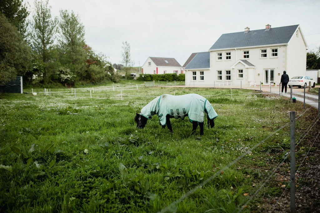 ireland desjardins studio rachel desjardins travel photography all rights reserved hostel dublin minnesota photographer inver glebe donegal county hidden garden