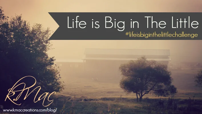 Life is BIG in the Little