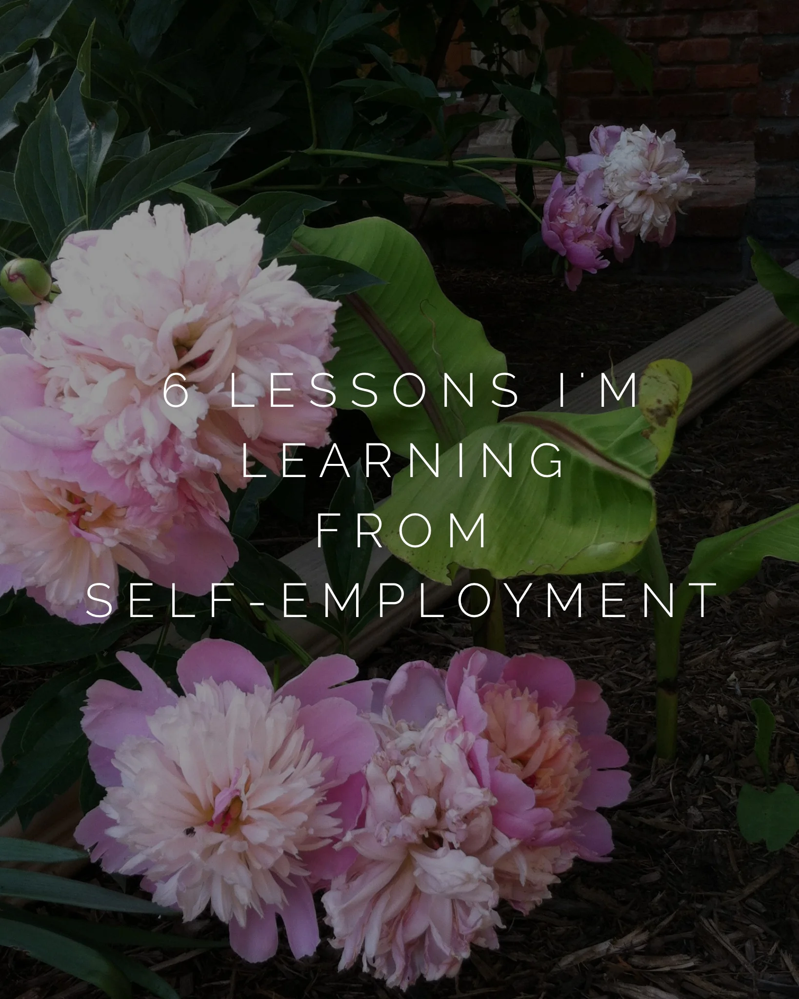 6 lessons I'm learning from self-employment