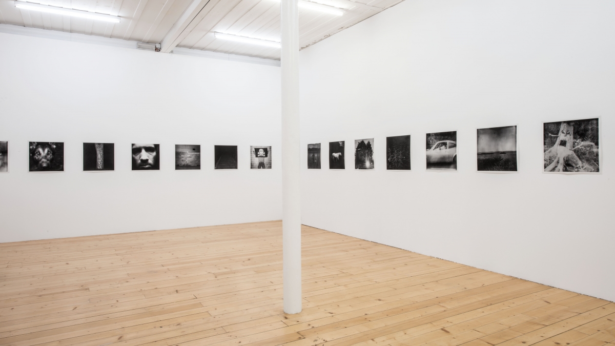 Photographie: Primula Bosshard ©