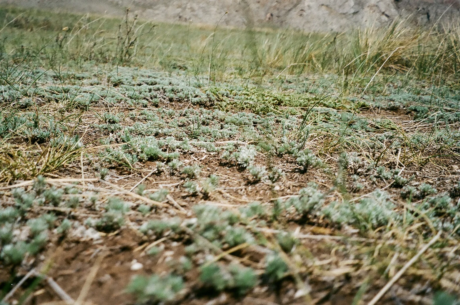 009_tuva.jpg