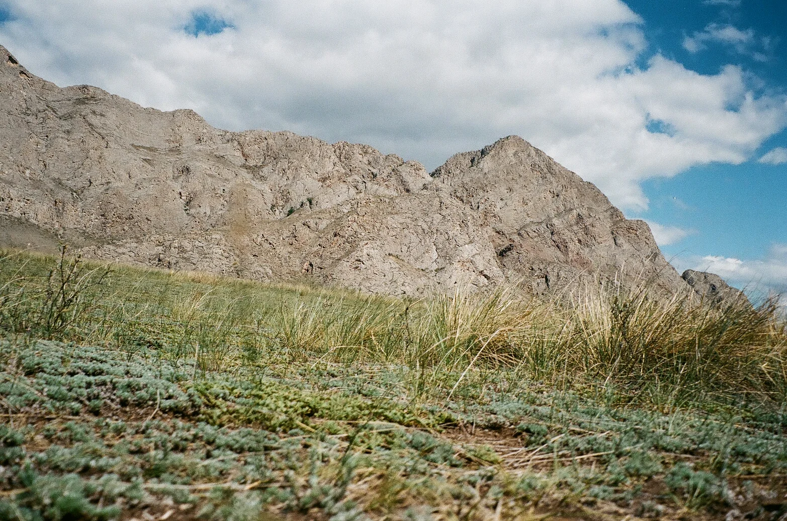 010_tuva.jpg
