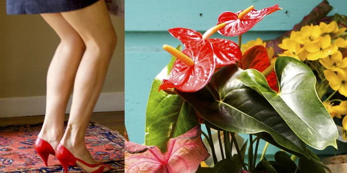 07My sister's legs.jpg