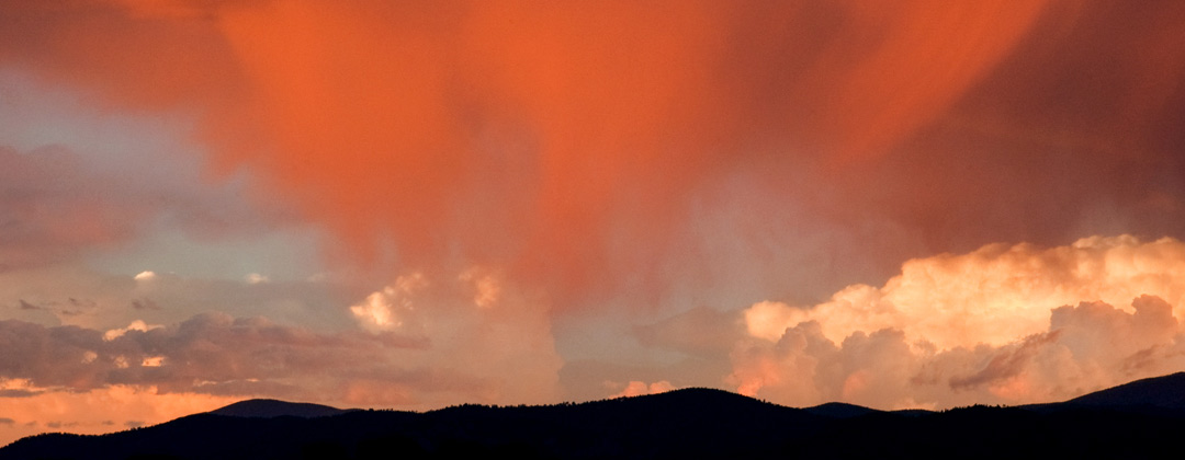 Banner-02web.jpg
