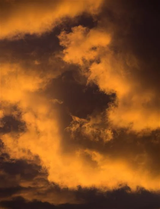 OPEN TO YOUR WILDNESS