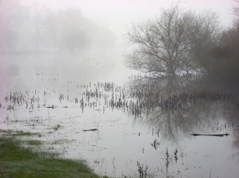 Photo of Laguna de Santa Rosa by Robert Race