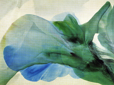 Paul Jenkins