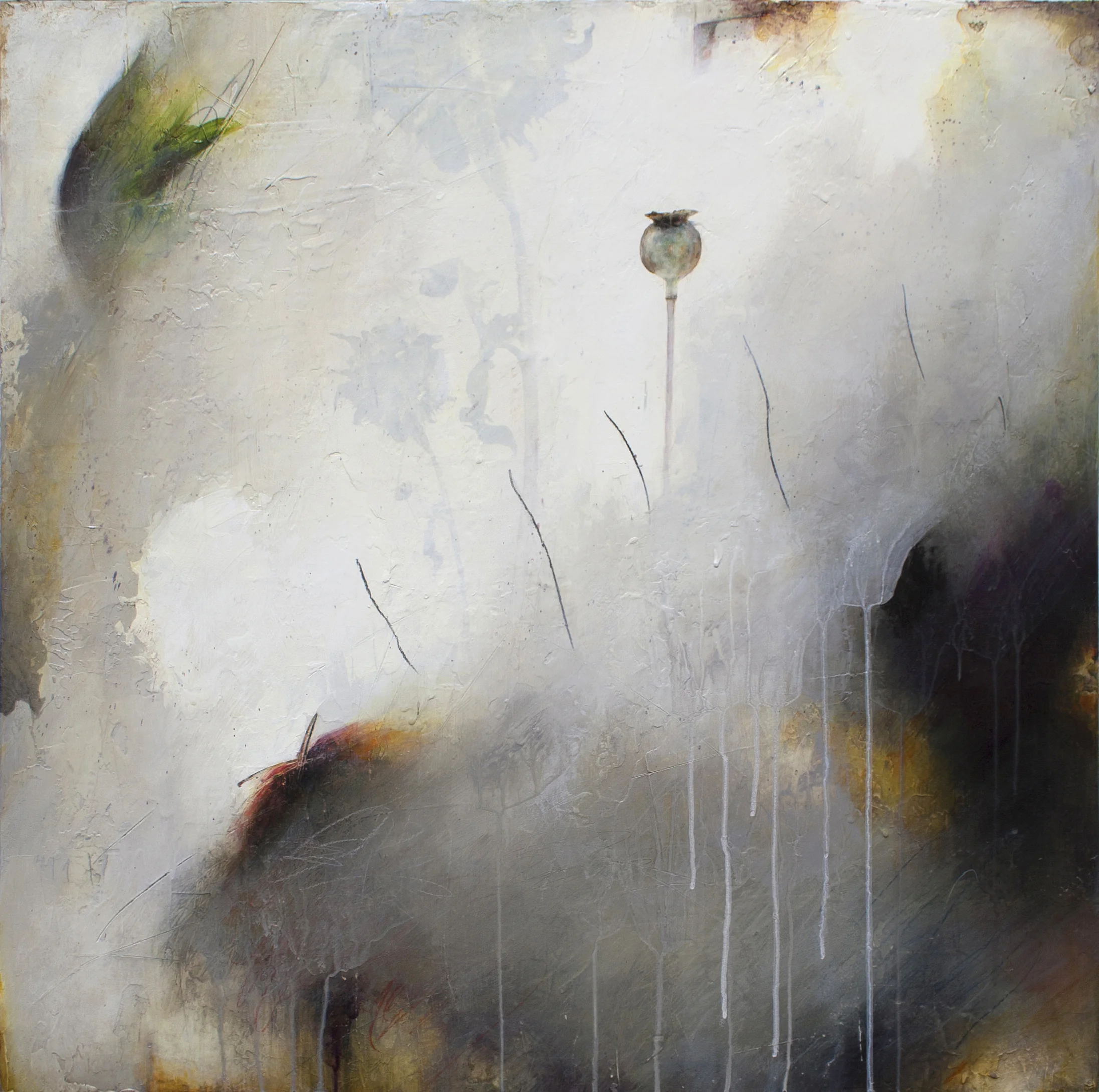 Kerry Schroeder