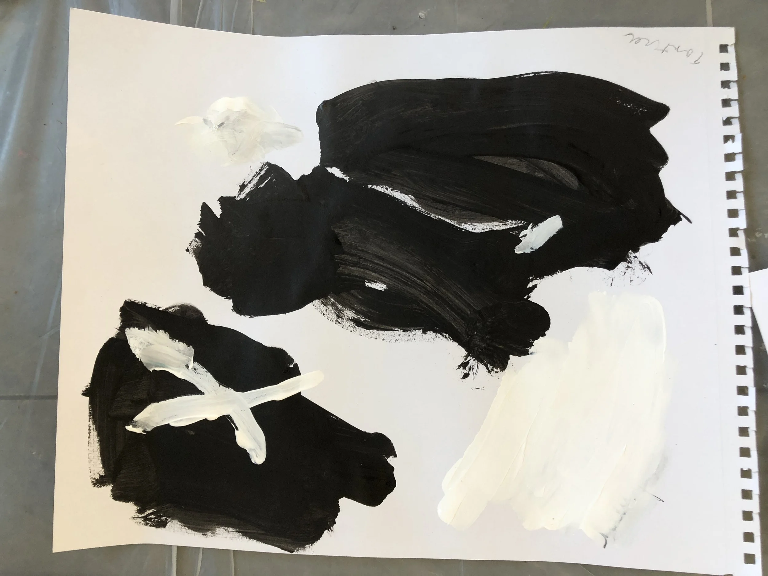 9565CD6E-0057-40FF-9343-CF7021C4DF7E.jpeg