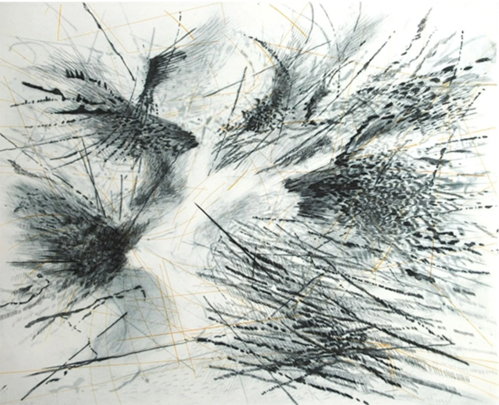 Julie Mehretu
