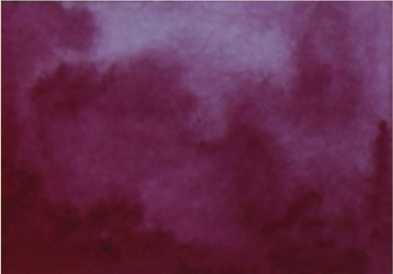 quinacridone violet - Copy.JPG