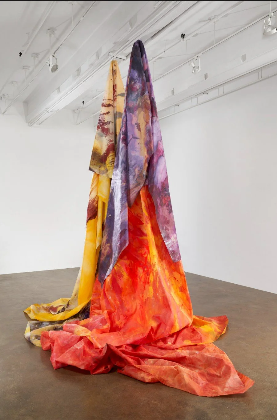 X sAM gILLIAM 1 - Copy.jpg