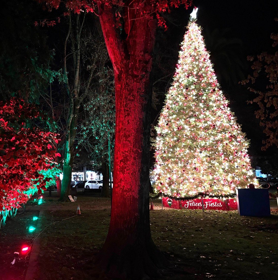 Screenshot 2025-12-18 135455.jpg