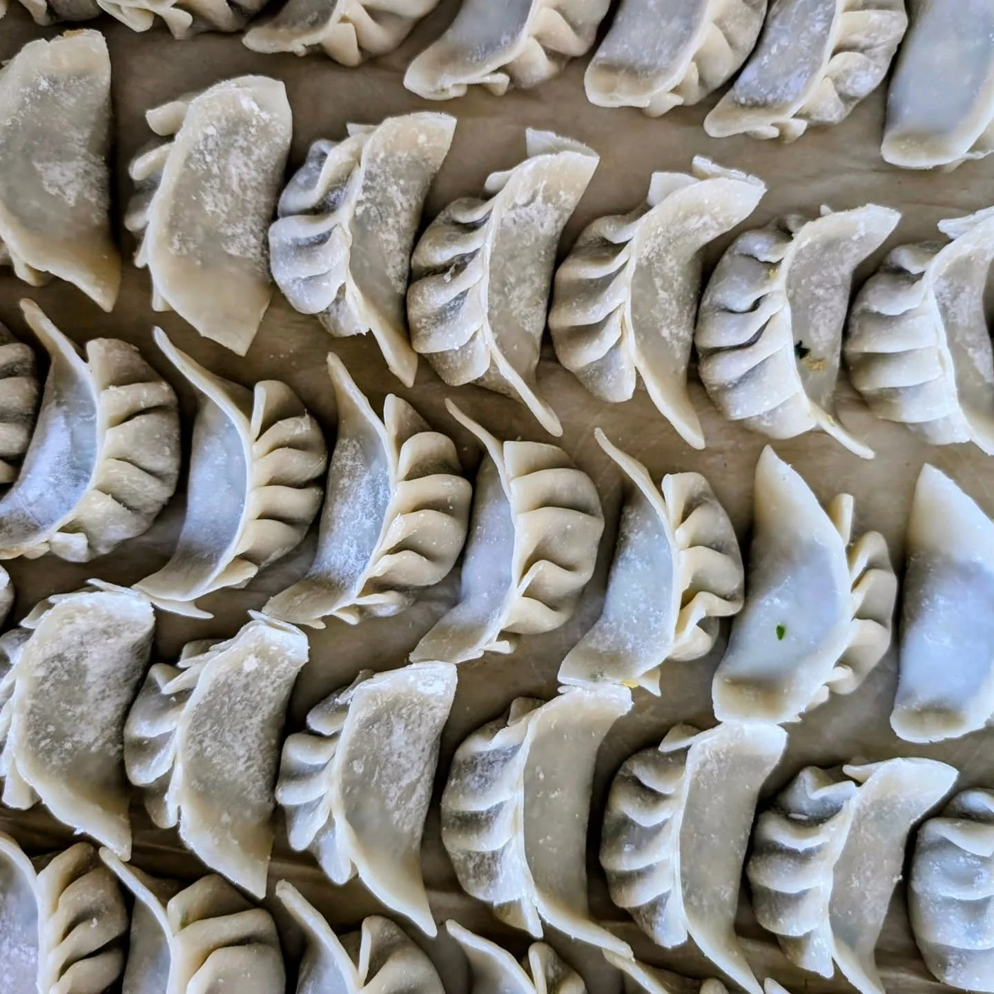 OG bbs ready for you!!