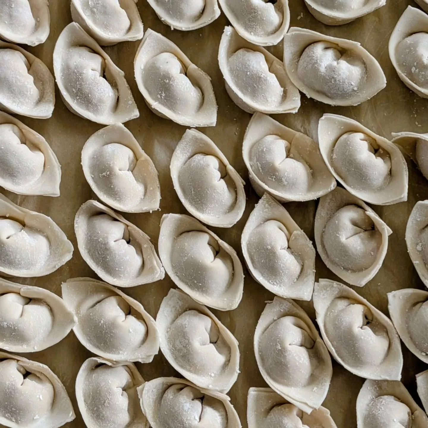 Last chance to welcome the Year of the Horse properly 🐎🥟

A few portions of our Golden Crab Dumplings left.
Orders close Sunday for Monday delivery &mdash; just in time for your New Year&rsquo;s table 🧧🧨