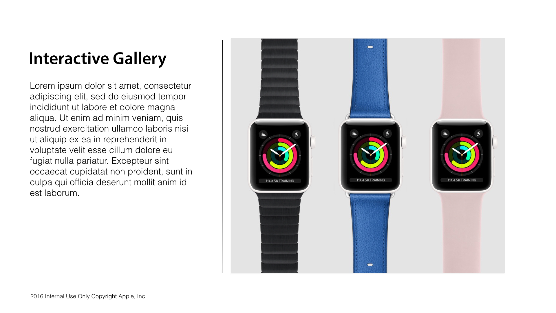 interactive-gallery-specs.002.jpeg