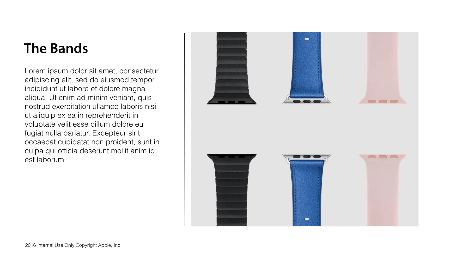 interactive-gallery-specs.003.jpeg