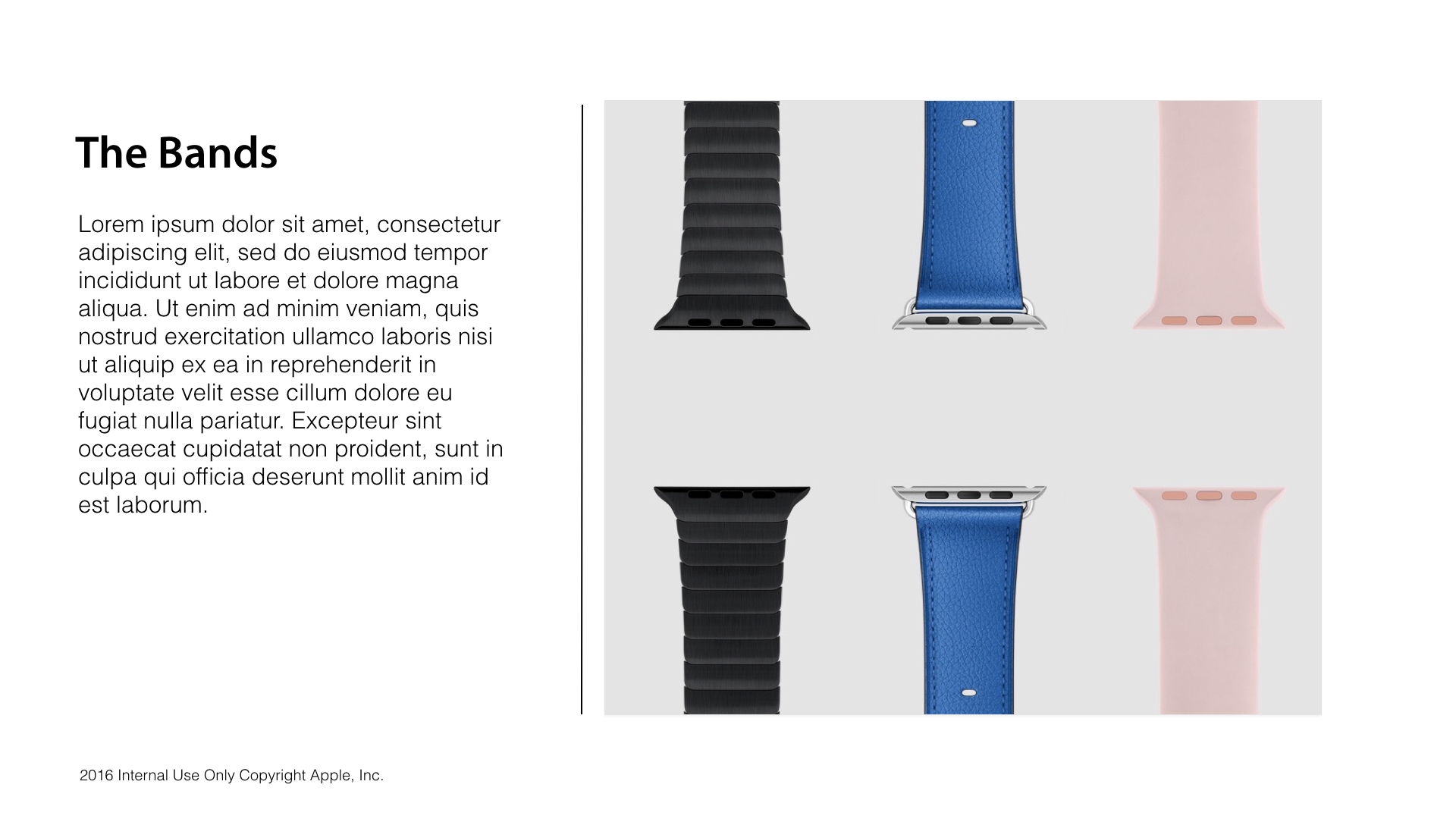 interactive-gallery-specs.003.jpeg