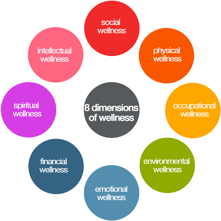 Wellness Beyond Nutrition