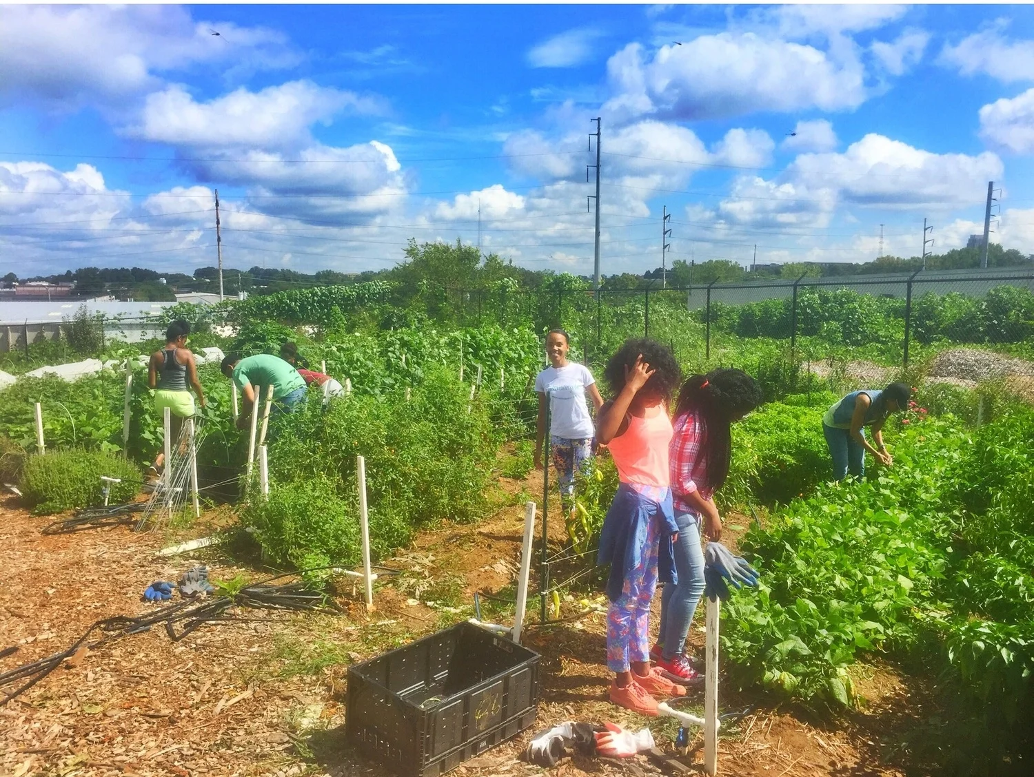 Serving Does The Body Good