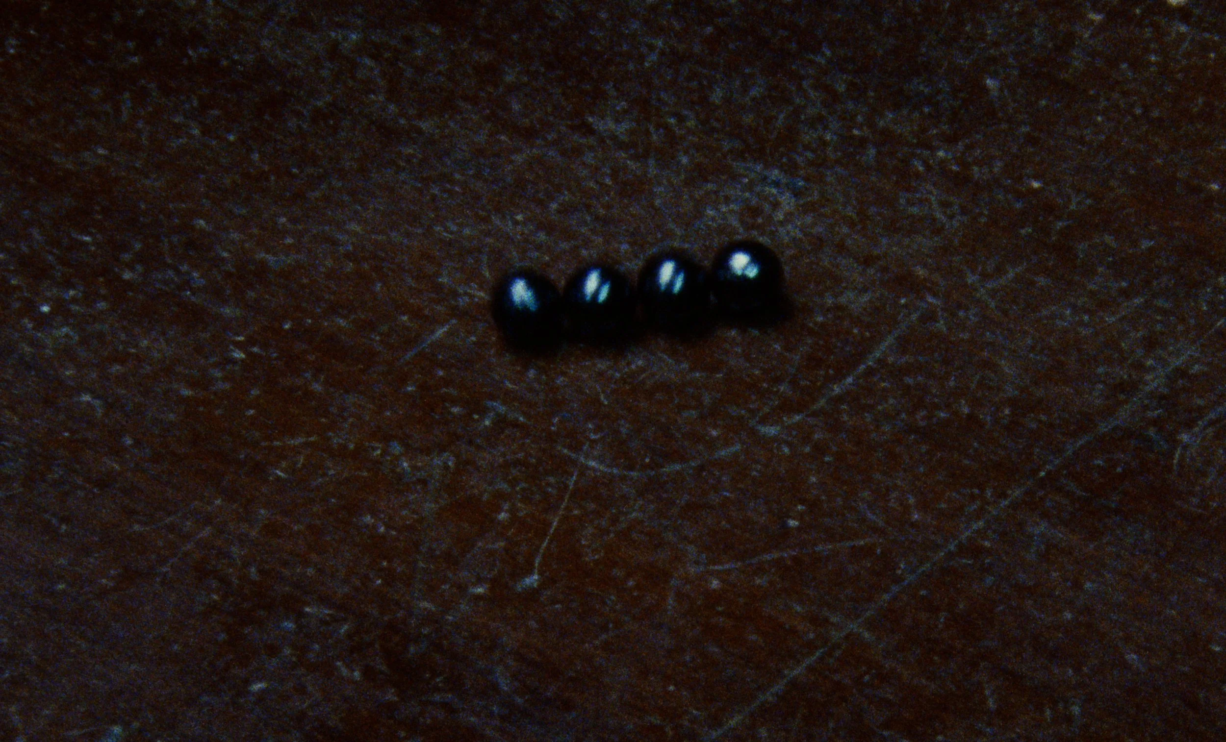 HF_Magnet Park_18_Conform_New Title.00_01_34_00.Still059.jpg