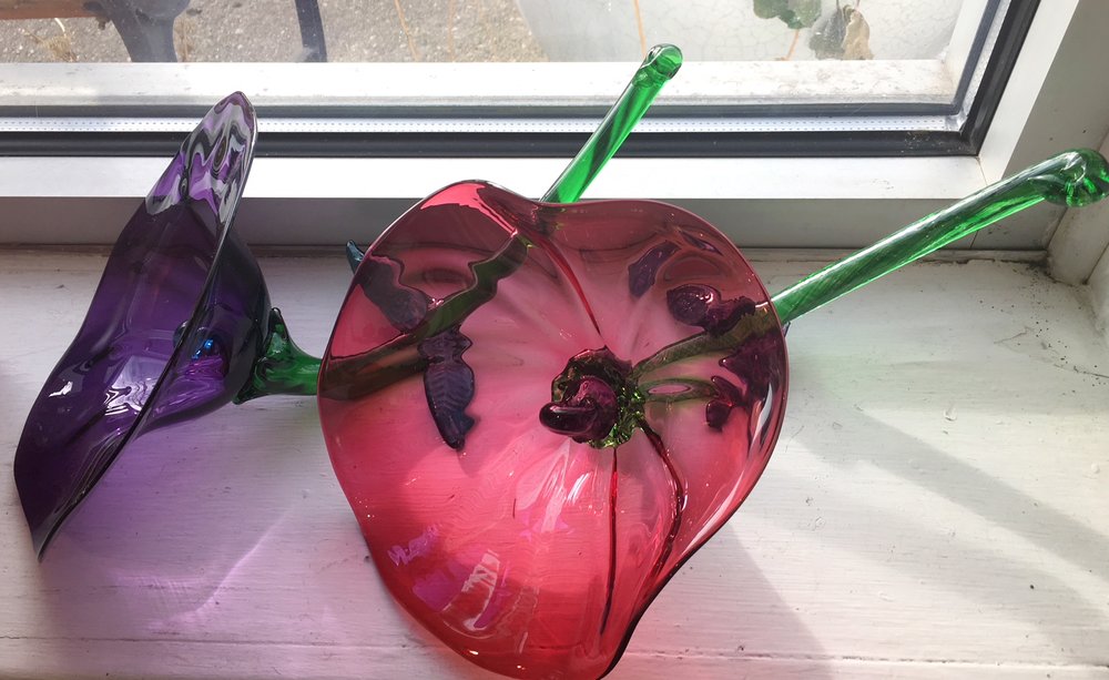 Blown Glass Flower — Popelka Trenchard Glass