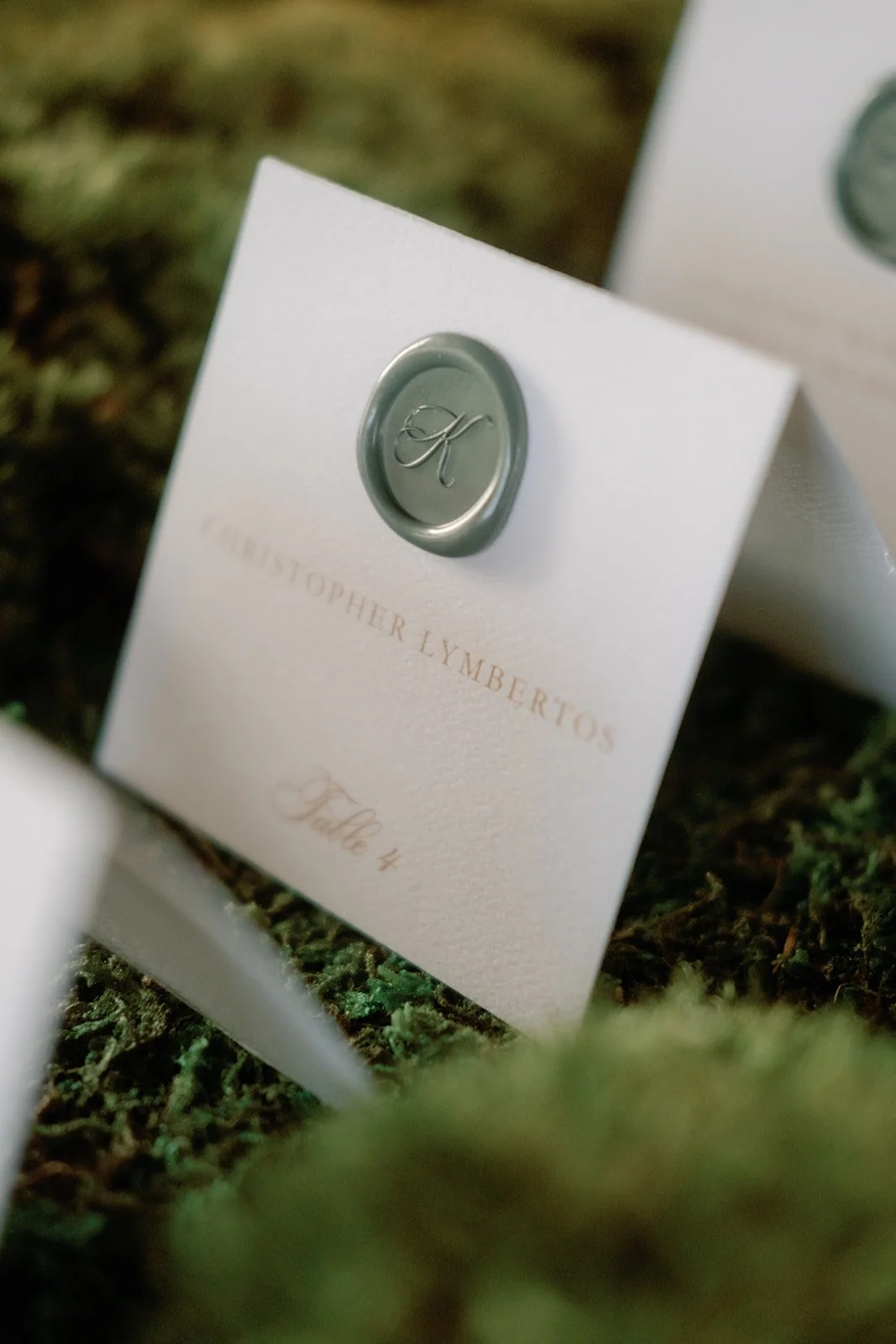 Humingbirdnest Wedding Photographer-324_websize.jpeg