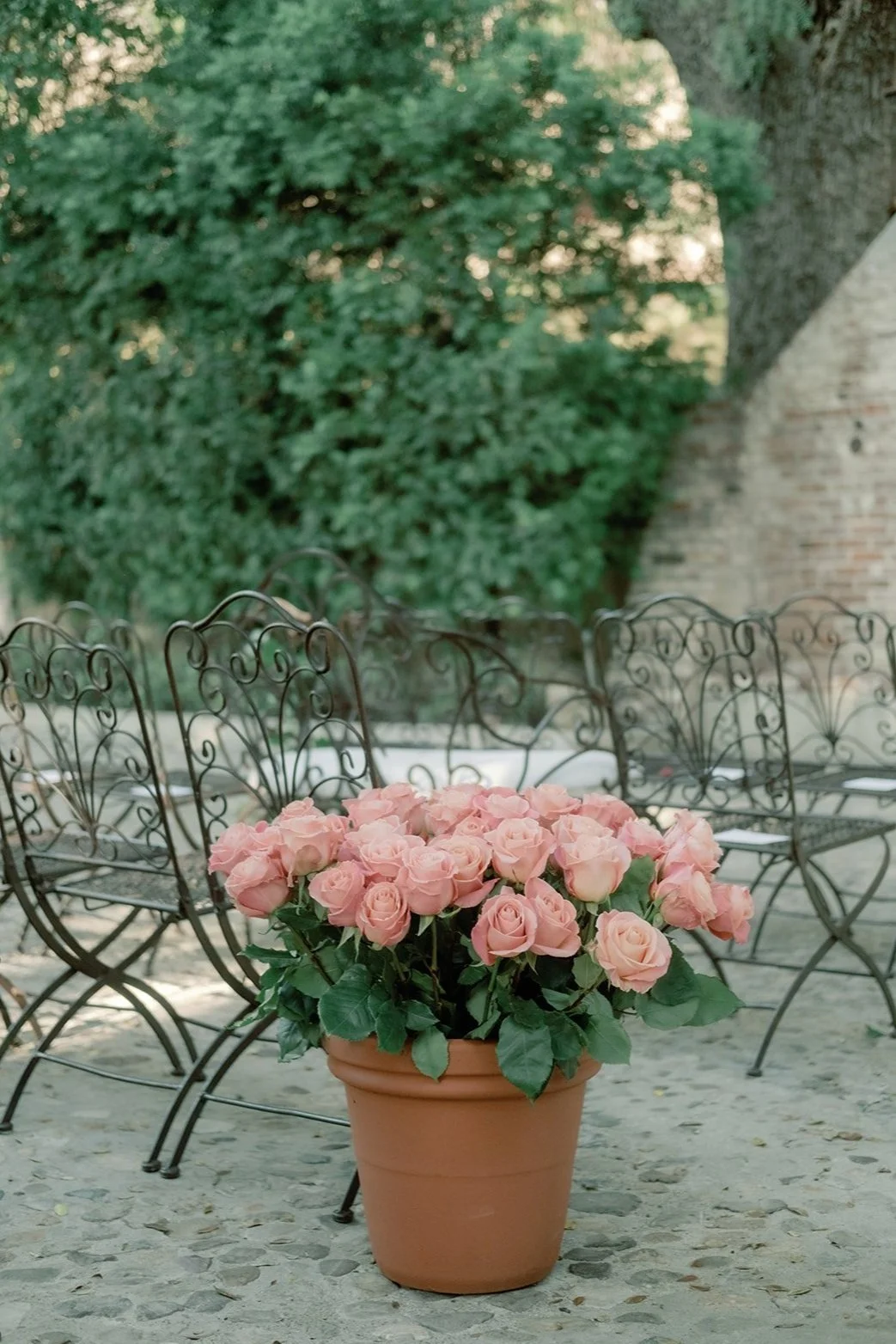 Humingbirdnest Wedding Photographer-313_websize.jpeg