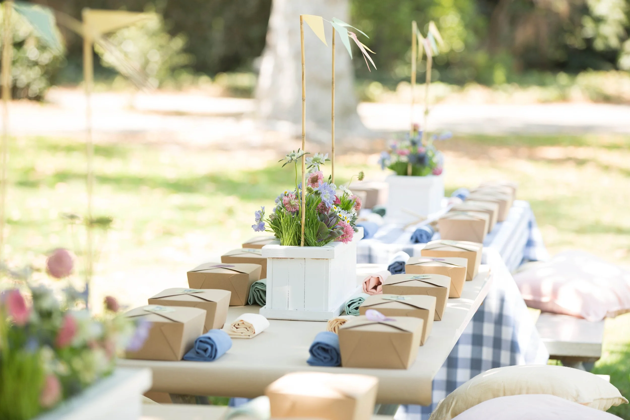 Babar the Elephant Birthday