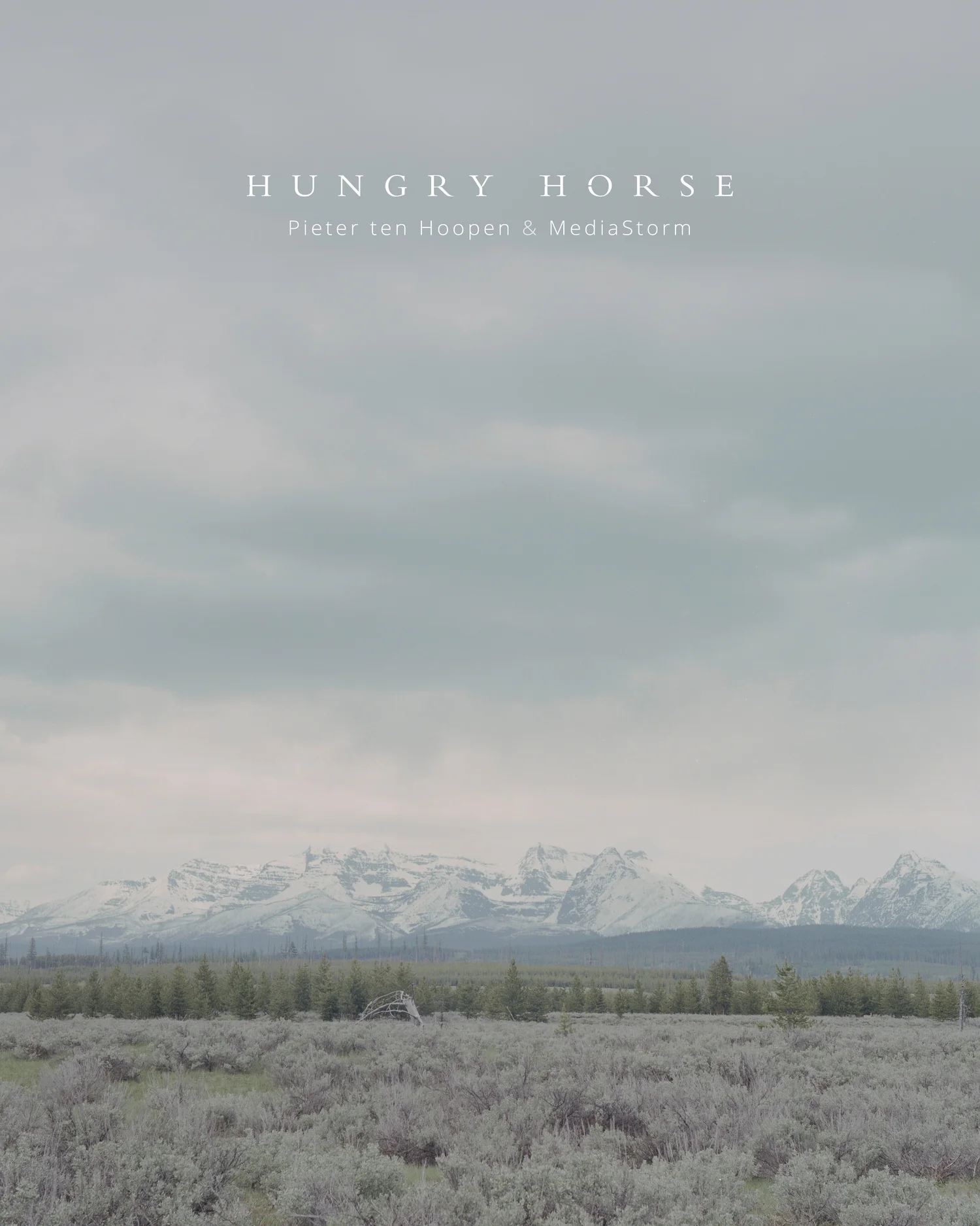 Hungry Horse: Legends of the Everyday